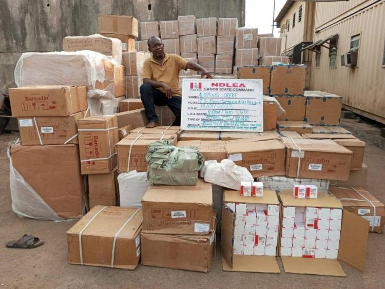 NDLEA busts another Tramadol cartel, seizes over N5billion Opioids in warehouse