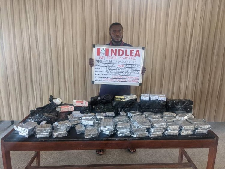 NDLEA intercepts drug consignments in wooden statue, imported vehicle