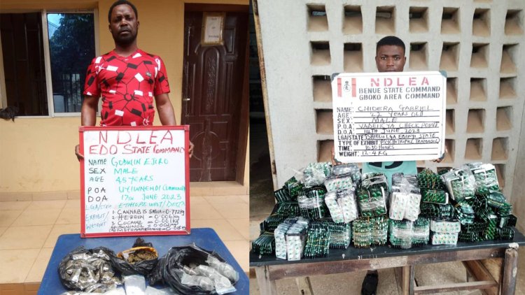 2 Qatar-based drug lords arrested as NDLEA intercepts their meth consignment at MMIA