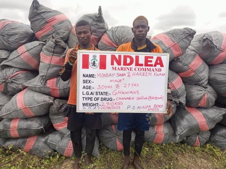 NDLEA intercepts 5, 344kg imported skunk consignments in Lekki, Lagos