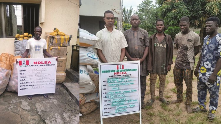 Seven years after escape from prison, NDLEA arrests wanted Abuja drug kingpin