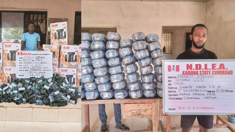 NDLEA uncovers meth, opioid consignments in jeans hems, dolls, buttons