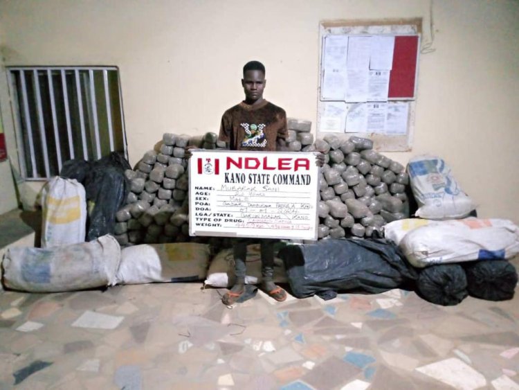 NDLEA intercepts Colos consignment in boxing kits on New Year day