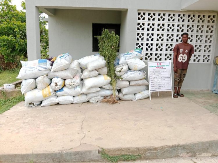 Pregnant woman, widow arrested over N3.2m counterfeit cash, lethal illicit substance