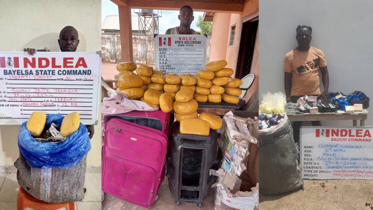 NDLEA smashes intl. drug syndicate, seizes Loud consignments, arrests 5 members